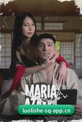 📺 关于本站